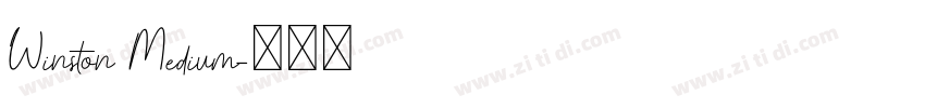 Winston Medium字体转换